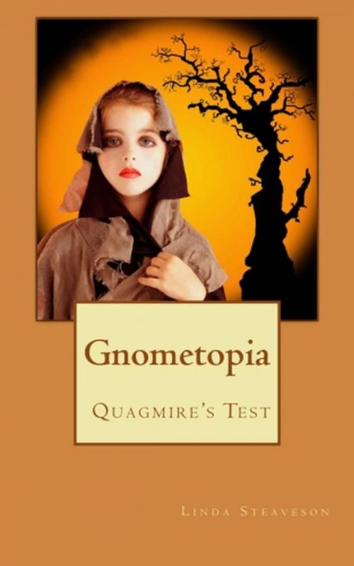 Cover of the book Quagmire's Test by Linda Steaveson, Saguaro Books, LLC