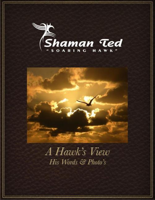 Cover of the book A Hawk's View by Shaman Ted "Soaring Hawk", BookBaby