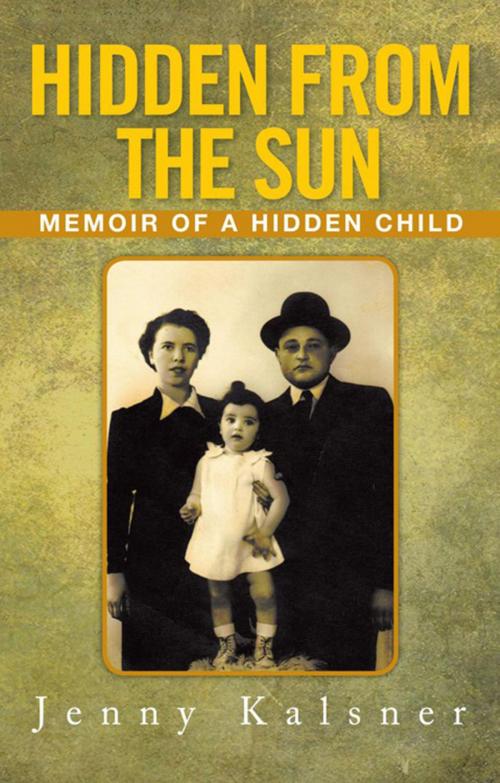 Cover of the book Hidden from the Sun by Jenny Kalsner, Xlibris US