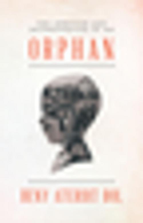 Cover of the book The Ambition and Determination of an Orphan by Beny Aterdit Bol, Xlibris AU