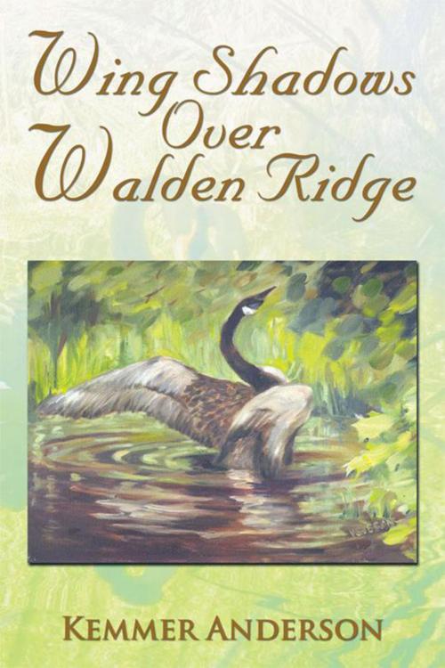 Cover of the book Wing Shadows over Walden Ridge by Kemmer Anderson, Xlibris US