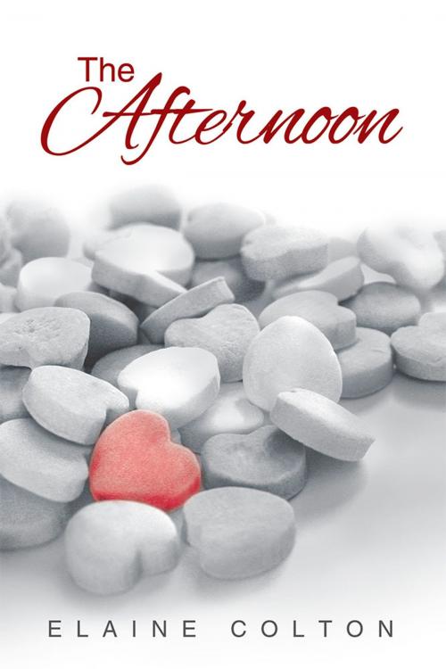 Cover of the book The Afternoon by Elaine Colton, Xlibris US