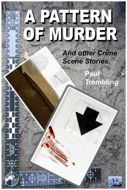 Cover of the book A Pattern of Murder by Paul Trembling, Paul Trembling