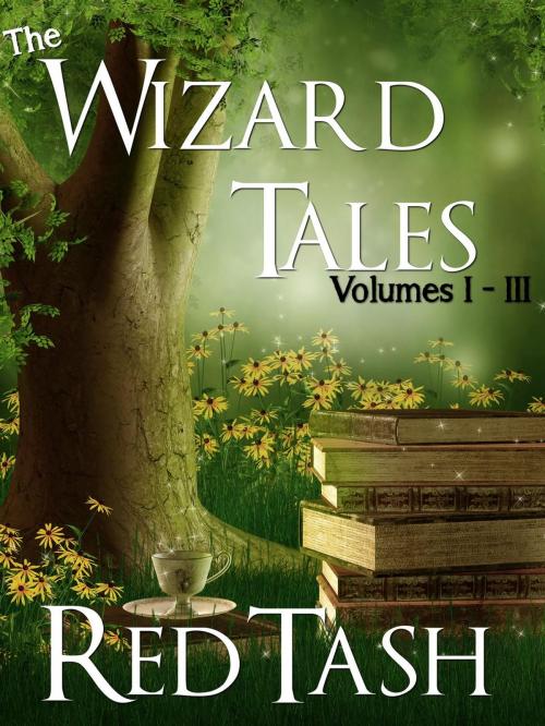 Cover of the book The Wizard Tales Vol I-III by Red Tash, Flying Birdbath Books