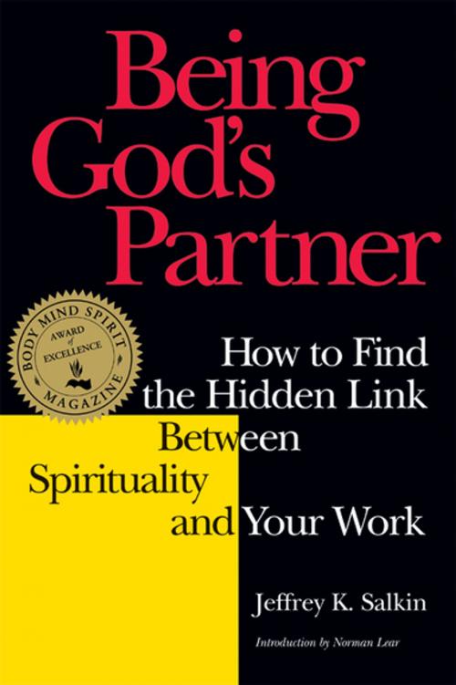 Cover of the book Being God's Partner by Rabbi Jeffrey K. Salkin, Turner Publishing Company