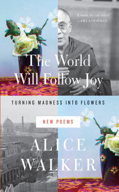 Cover of the book The World Will Follow Joy by Alice Walker, The New Press