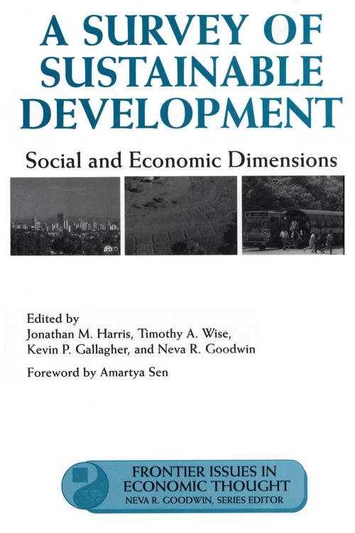 Cover of the book A Survey of Sustainable Development by Jonathan Harris, Island Press