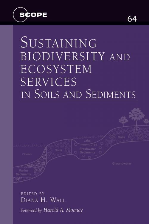 Cover of the book Sustaining Biodiversity and Ecosystem Services in Soils and Sediments by Diana H. Wall, Island Press