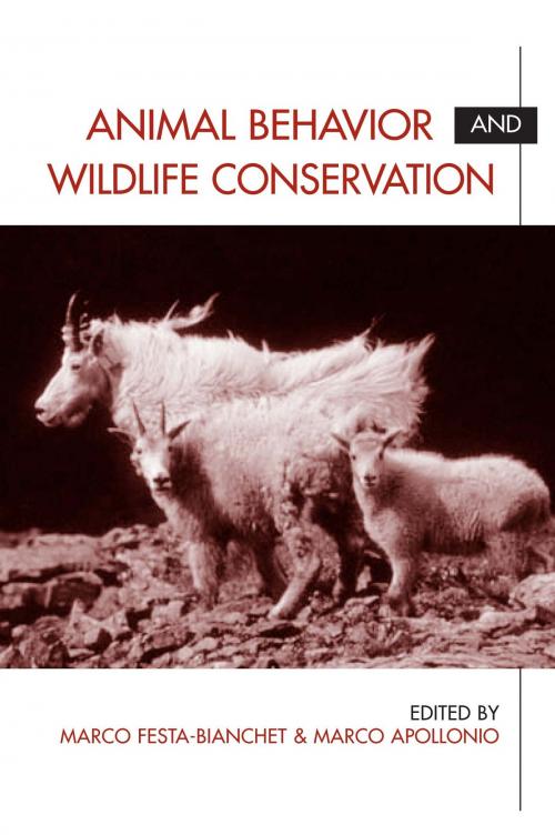 Cover of the book Animal Behavior and Wildlife Conservation by Marco Festa-Bianchet, Island Press