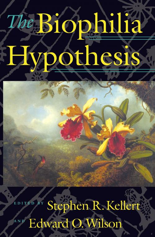 Cover of the book The Biophilia Hypothesis by Stephen R. Kellert, Scott McVay, Aaron Katcher, Cecilia McCarthy, Gregory Wilkins, Island Press