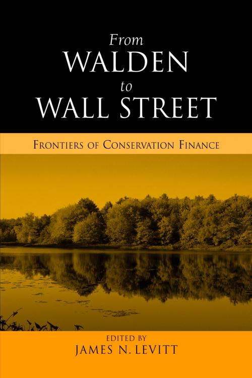 Cover of the book From Walden to Wall Street by James N. Levitt, Island Press
