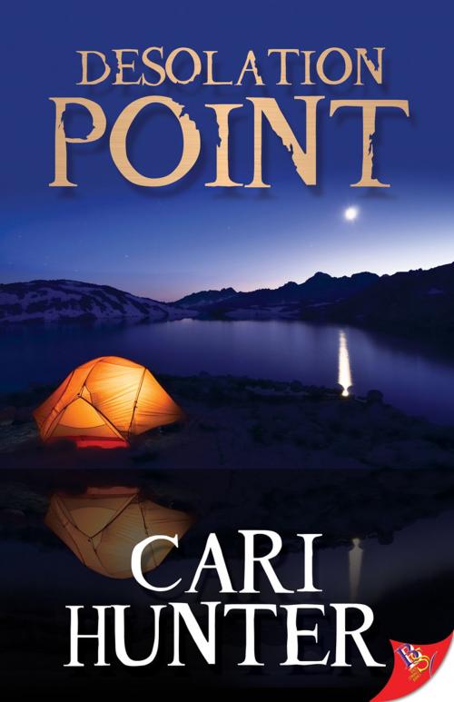 Cover of the book Desolation Point by Cari Hunter, Bold Strokes Books