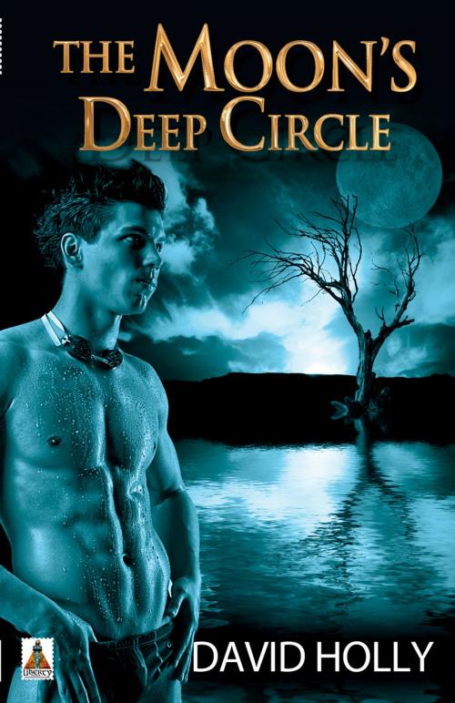 Cover of the book The Moon’s Deep Circle by David Holly, Bold Strokes Books, Inc.