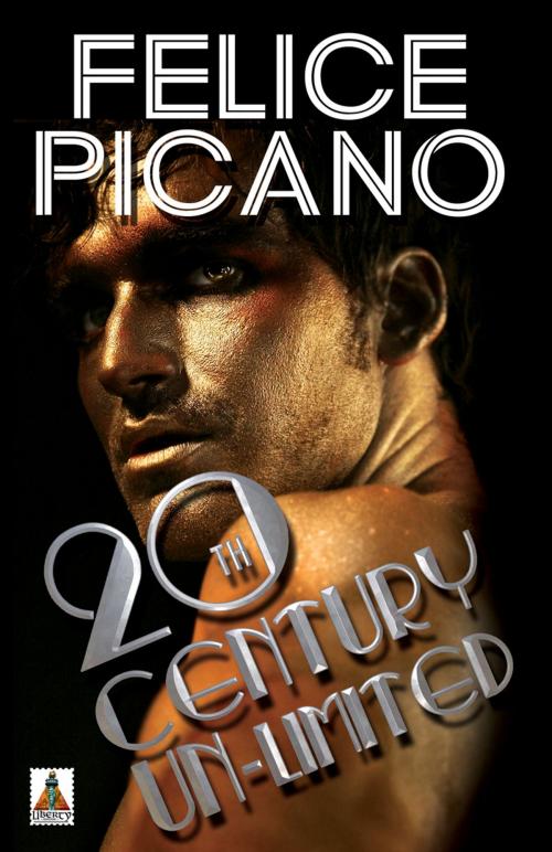 Cover of the book 20th Century Un-Limited by Felice Picano, Bold Strokes Books, Inc.