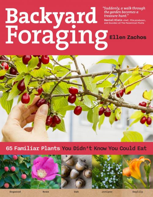 Cover of the book Backyard Foraging by Ellen Zachos, Storey Publishing, LLC