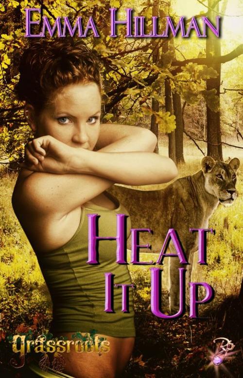 Cover of the book Heat It Up by Emma Hillman, Resplendence Publishing, LLC
