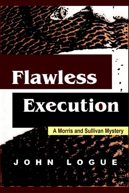 Cover of the book Flawless Execution by John Logue, Quid Pro, LLC