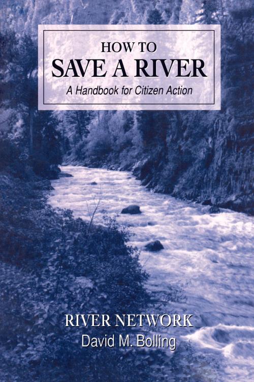 Cover of the book How to Save a River by David M Bolling, Island Press