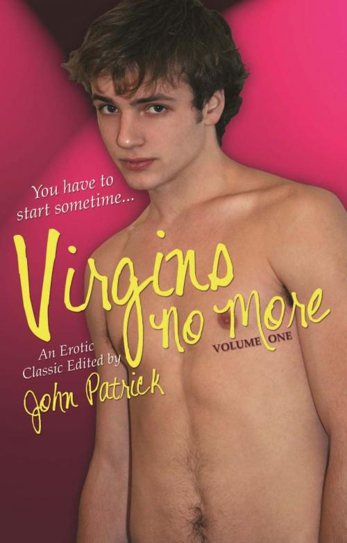 Cover of the book Vigins No More - Volume 1 by , STARbooks Press