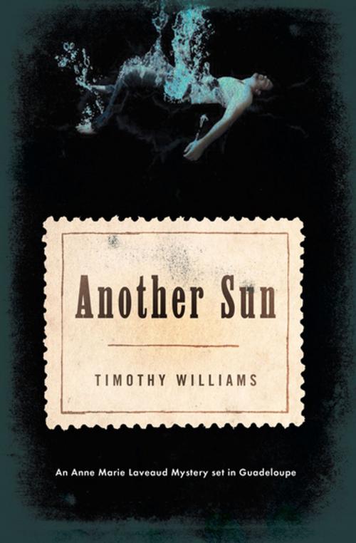 Cover of the book Another Sun by Timothy Williams, Soho Press