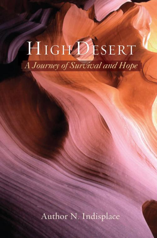 Cover of the book High Desert by Kim Douglas, Bahai Publishing