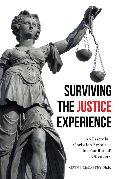 Cover of the book Surviving the Justice Experience by Kevin J. McCarthy, Ph.D., Ambassador International