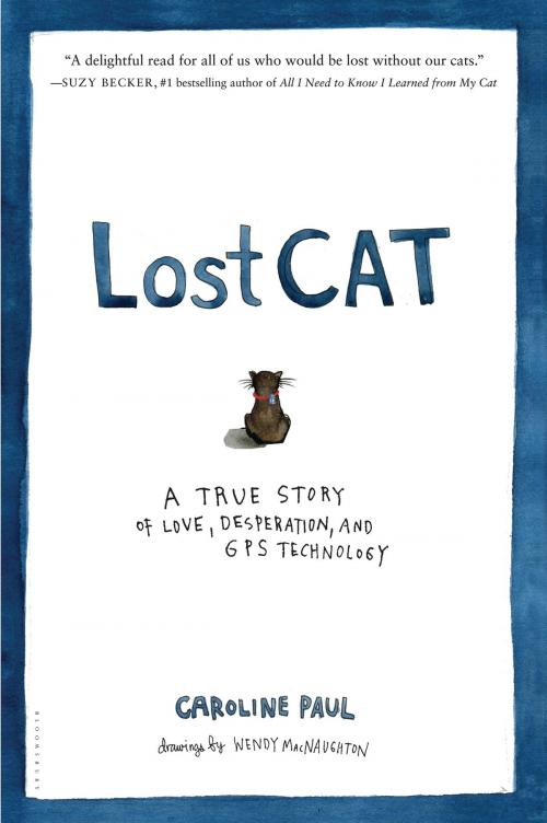 Cover of the book Lost Cat by Caroline Paul, Bloomsbury Publishing