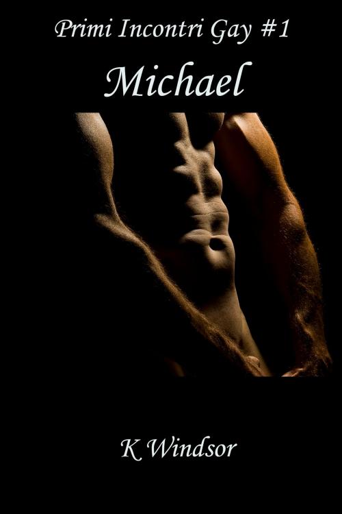 Cover of the book Primi Incontri Gay #1 by K Windsor, Black Serpent Erotica
