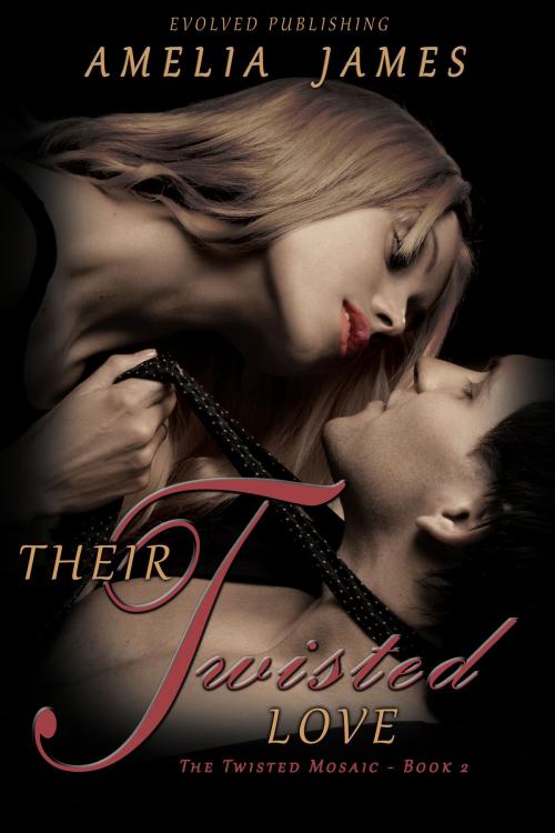 Cover of the book Their Twisted Love by Amelia James, Evolved Publishing LLC