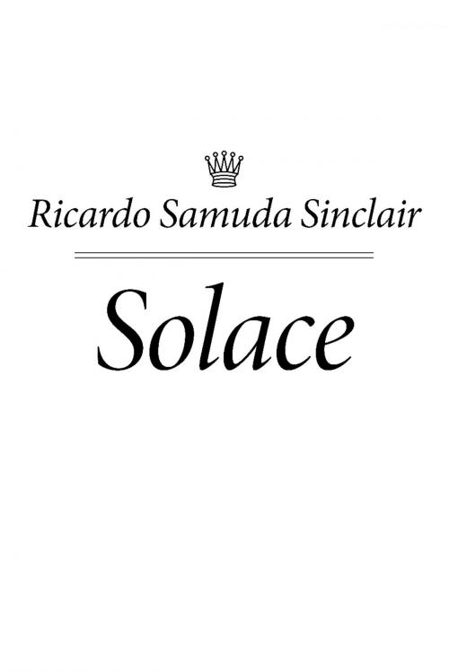 Cover of the book Solace by Ricardo Samuda Sinclair, BookBaby