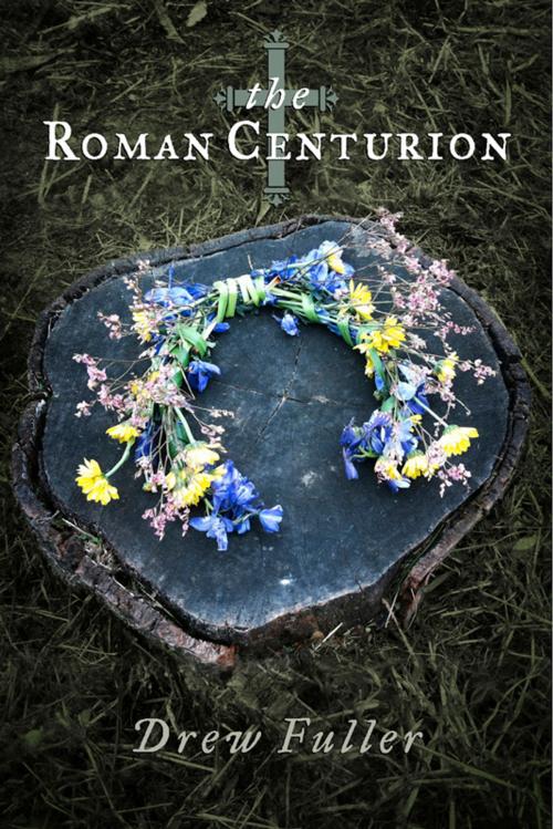 Cover of the book The Roman Centurion by Drew Fuller, BookBaby
