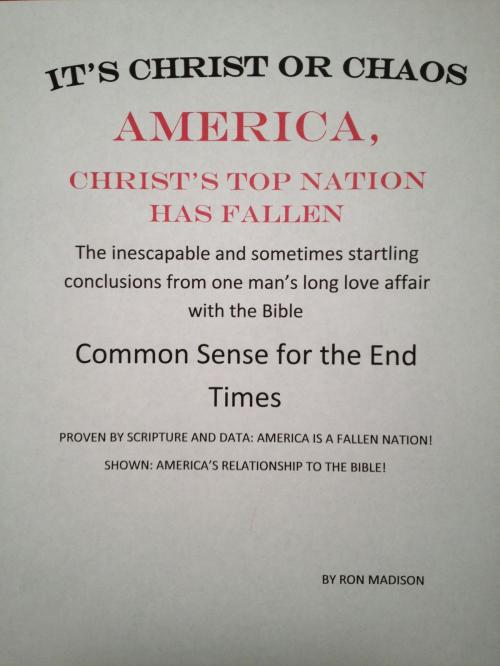 Cover of the book America, Christ's Top Nation has Fallen by Ron Madison, BookBaby
