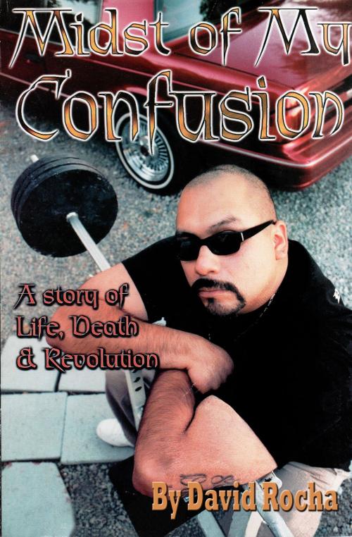 Cover of the book Midst of My Confusion by David Rocha, BookBaby