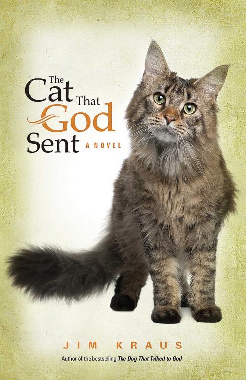 Cover of the book The Cat That God Sent by Jim Kraus, Abingdon Fiction