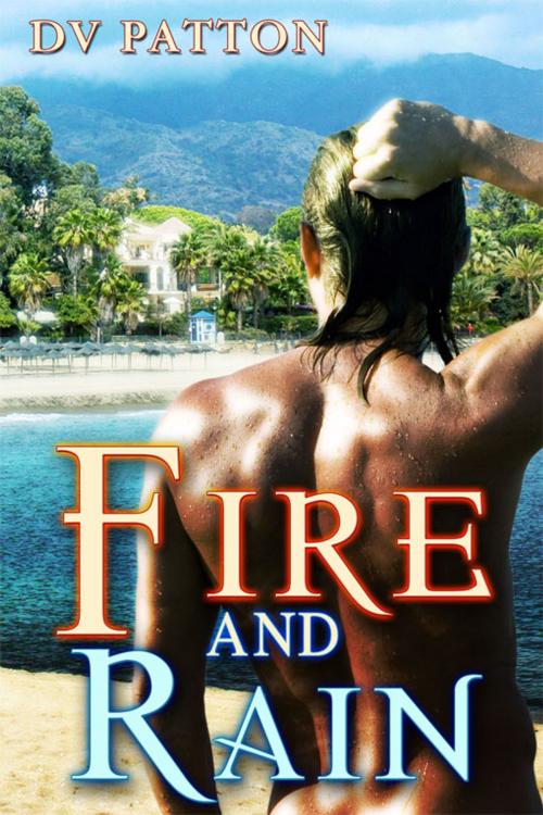 Cover of the book Fire and Rain by D.V. Patton, eXtasy Books Inc