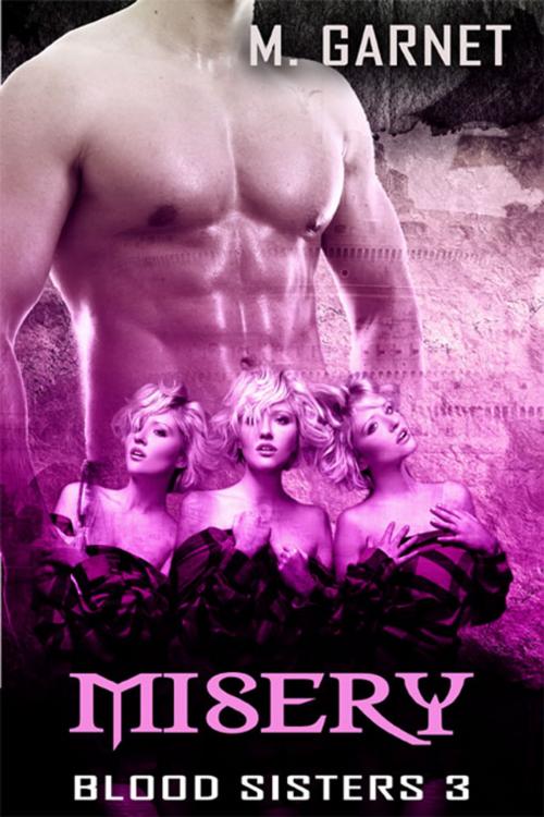 Cover of the book Misery by M. Garnet, eXtasy Books Inc