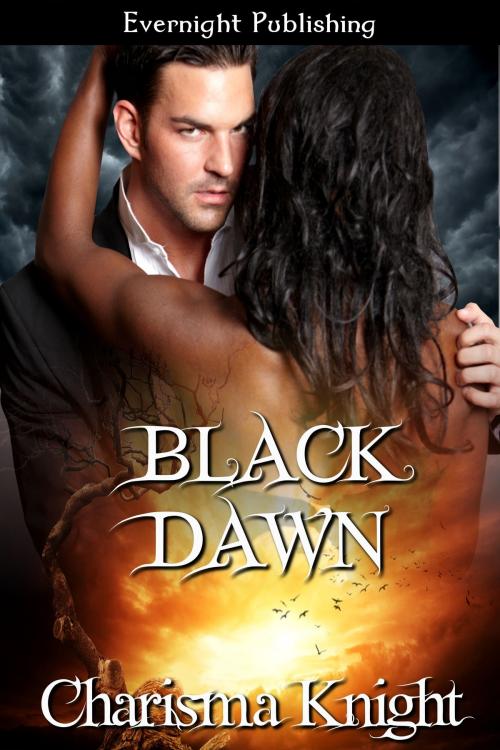 Cover of the book Black Dawn by Charisma Knight, Evernight Publishing
