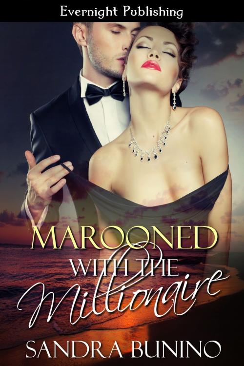 Cover of the book Marooned with the Millionaire by Sandra Bunino, Evernight Publishing