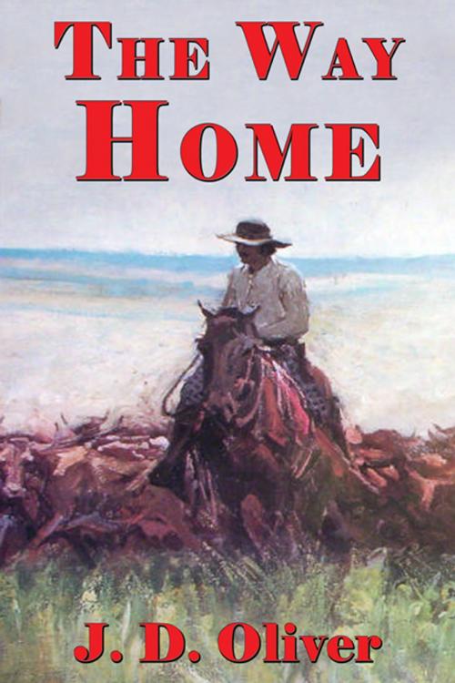Cover of the book The Way Home by J. D. Oliver, CCB Publishing