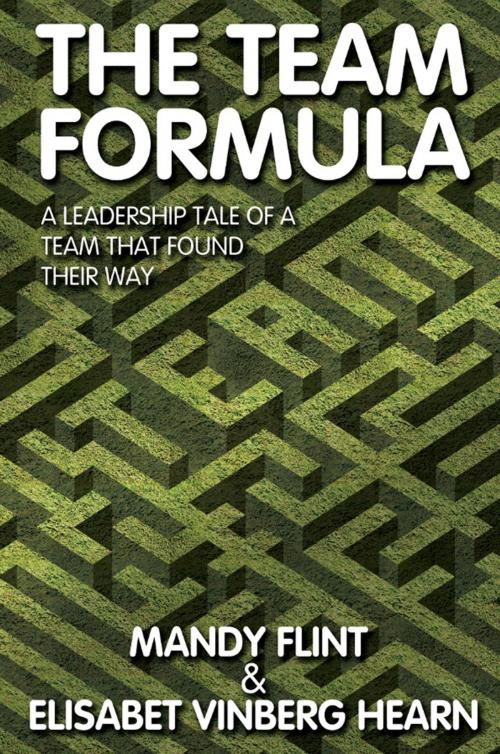 Cover of the book The Team Formula by Mandy Flint, Andrews UK