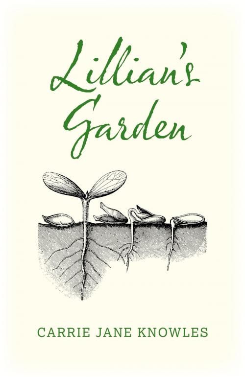 Cover of the book Lillian's Garden by Carrie Knowles, John Hunt Publishing