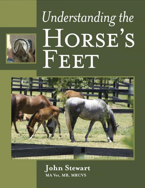 Cover of the book Understanding the Horse's Feet by John Stewart, Crowood