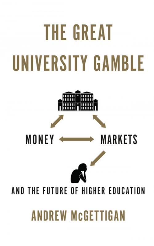 Cover of the book The Great University Gamble by Andrew McGettigan, Pluto Press