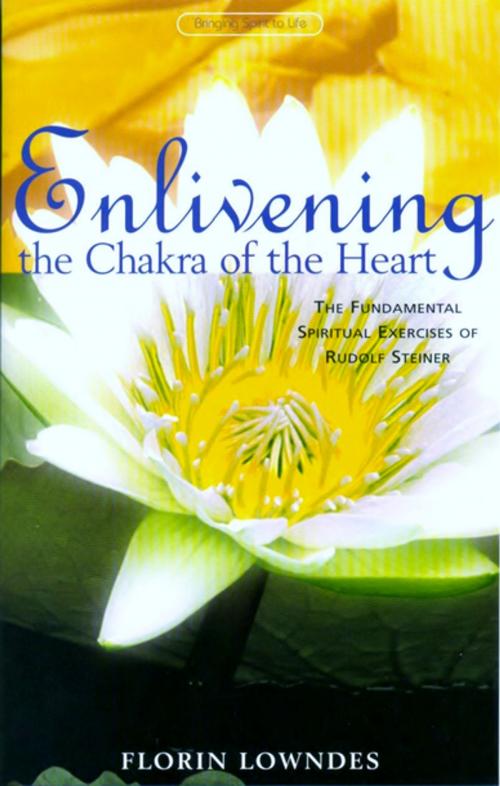 Cover of the book Enlivening the Chakra of the Heart by Florin Lowndes, Rudolf Steiner Press