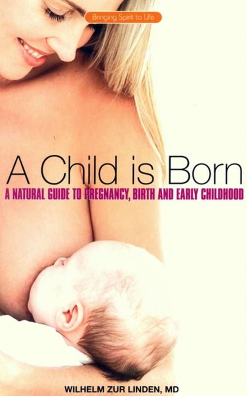 Cover of the book A Child is Born by Wilhelm Zur Linden, Rudolf Steiner Press