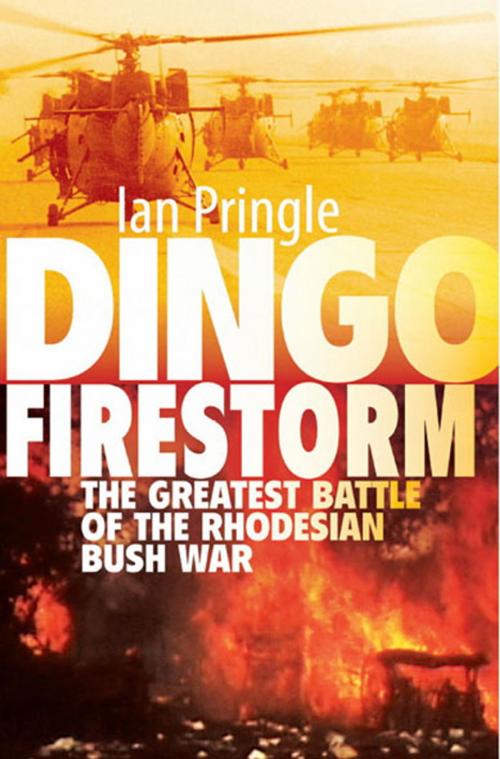 Cover of the book Dingo Firestorm by Ian Pringle, Helion and Company