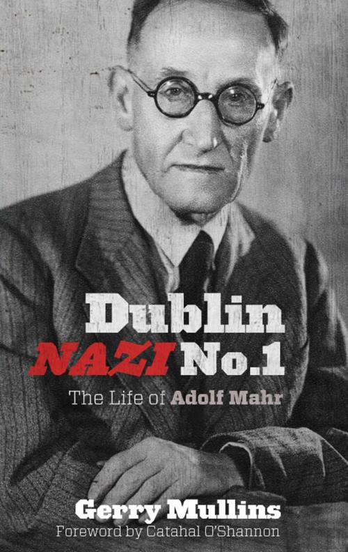 Cover of the book Dublin Nazi No. 1 by Gerry Mullins, Liberties Press