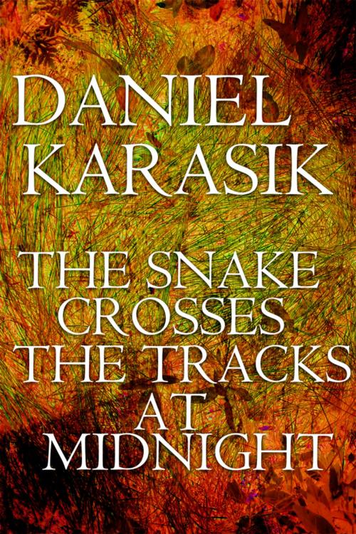 Cover of the book The Snake Crosses the Tracks at Midnight by Daniel Karasik, Found Press Media