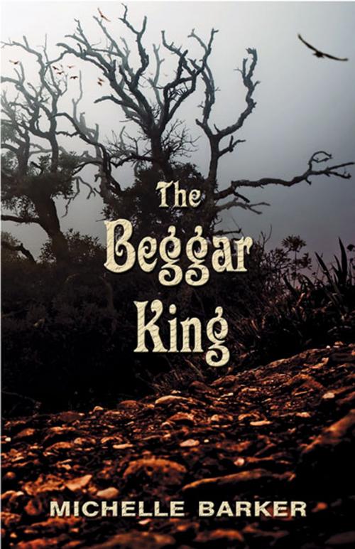 Cover of the book The Beggar King by Michelle Barker, Thistledown Press