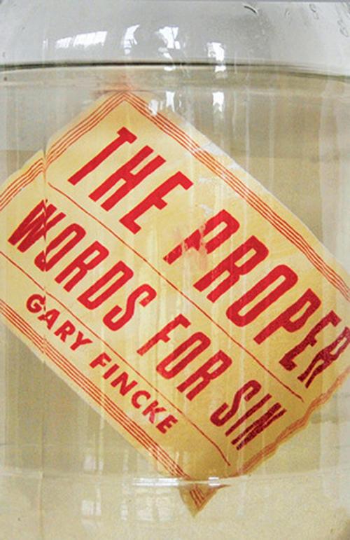Cover of the book The Proper Words for Sin by Gary Fincke, West Virginia University Press